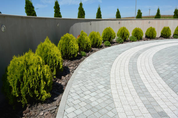 Professional Driveway Pavers in Shannon, GA