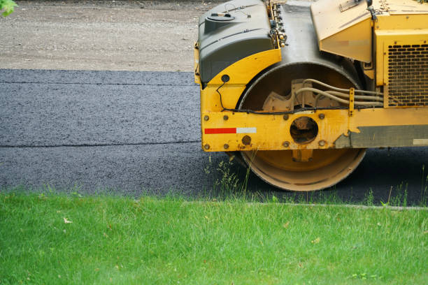 Driveway Repair Near Me in Shannon, GA